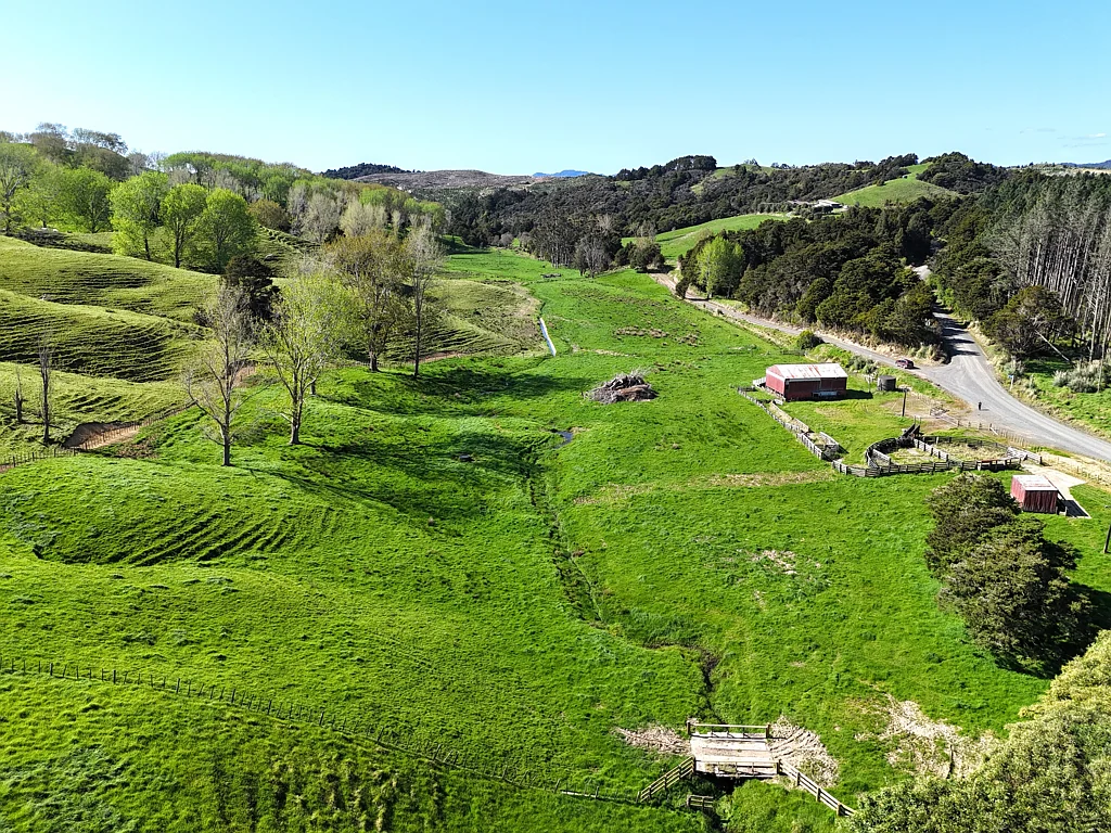 Dargaville Country Lifestyle Awaits!
