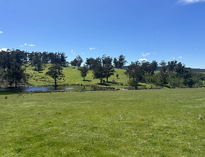 415 Buckland Road, Buckland, South East, 3房, 1浴, Lifestyle Property