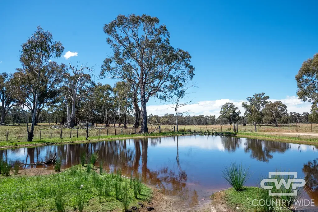 Torrington 2房  Eco Retreat Offering Sustainable Living and Country Charm