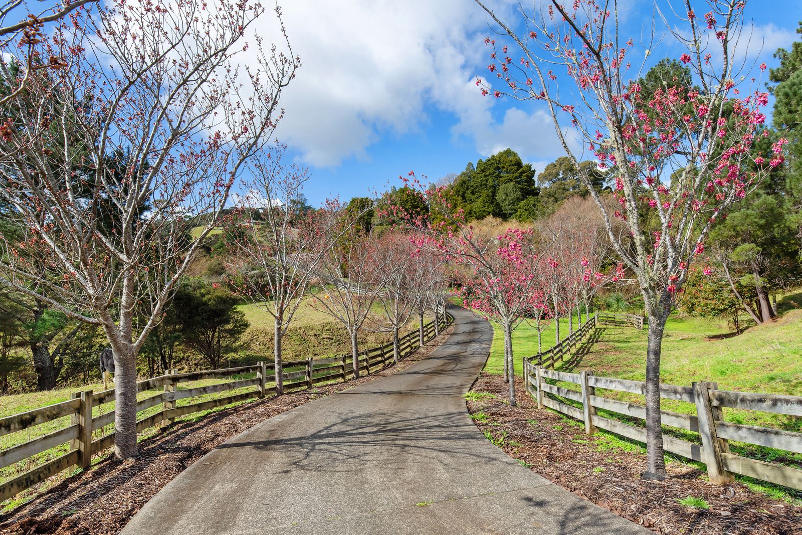 1509 Weranui Road, Wainui, Auckland - Rodney, 5部屋, 0バスルーム