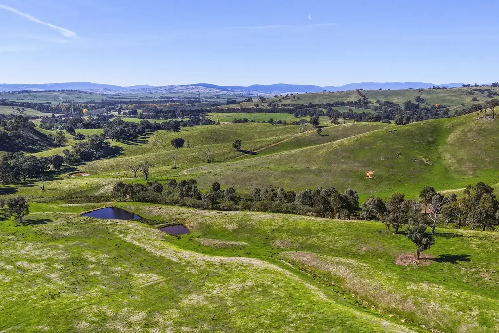Piries 322 ACRES - PROVEN CATTLE COUNTRY WITH 7 DAMS