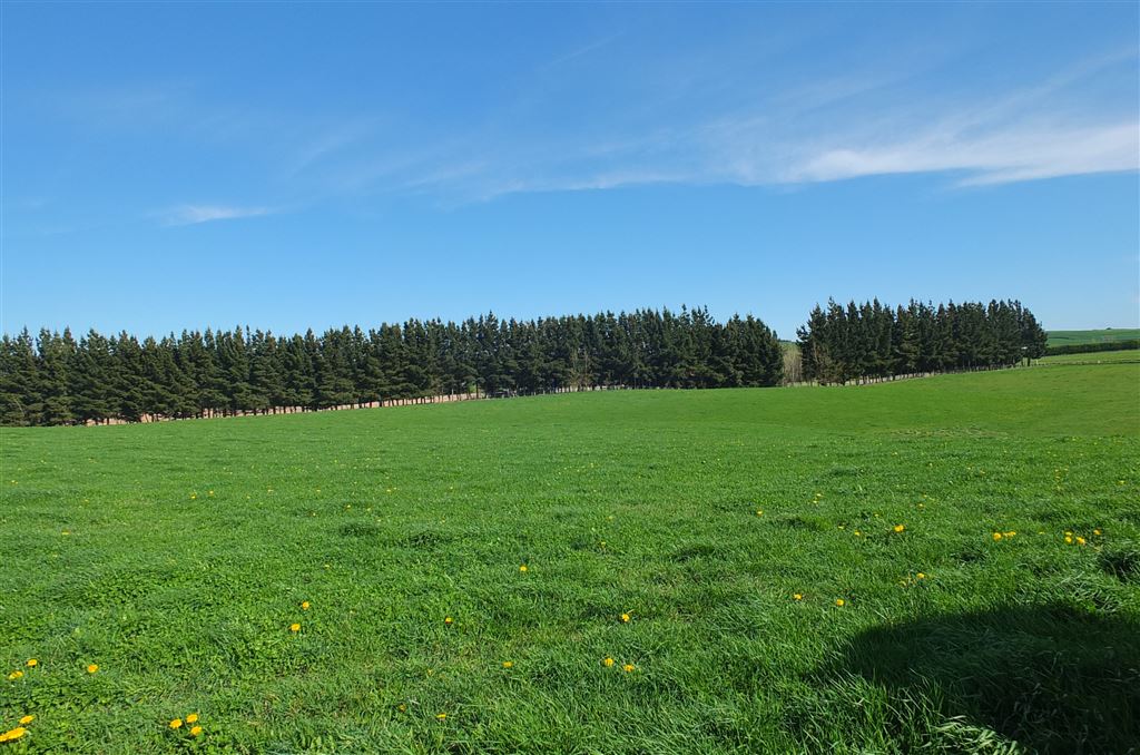 Parsons Road, Oamaru, Waitaki, 0 chambres, 1 salles de bain