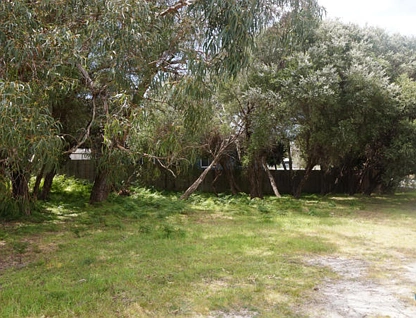 125 National Park Road, Loch Sport, Traralagon , 0 غرف, 0 حمامات, Section