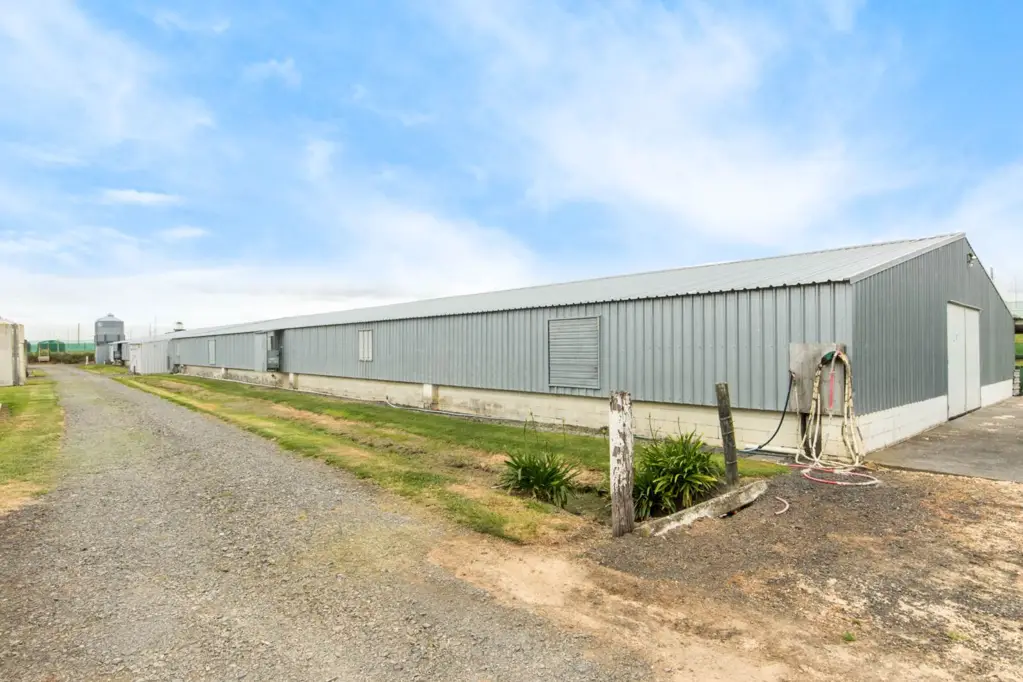 Waiuku Free Range Meat Chicken Farm-Cash Cow Business