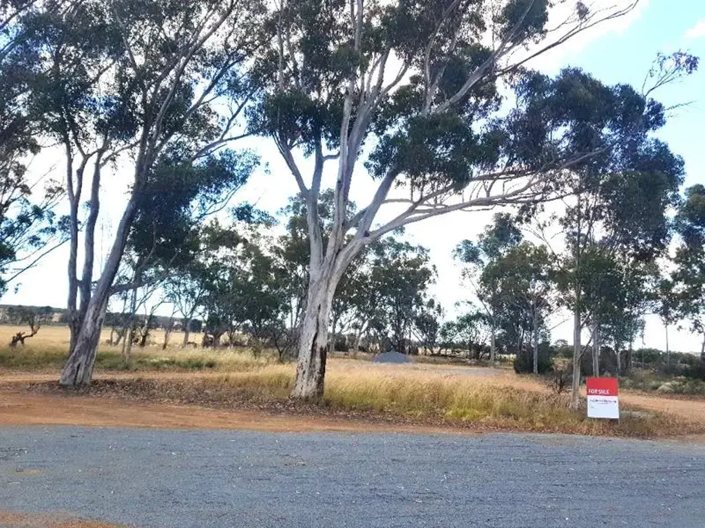 Badgingarra Rare Small Holding