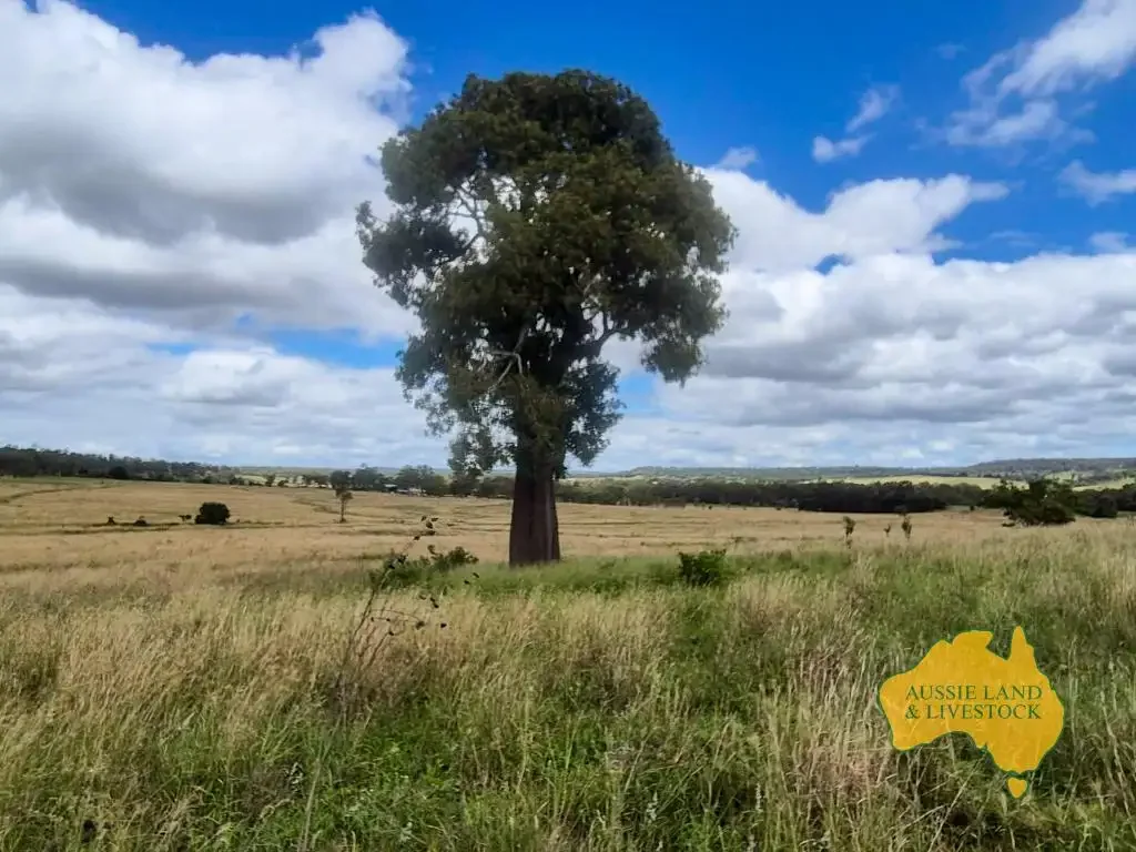 296 Cloyna West Road, Cloyna, QLD 4605
