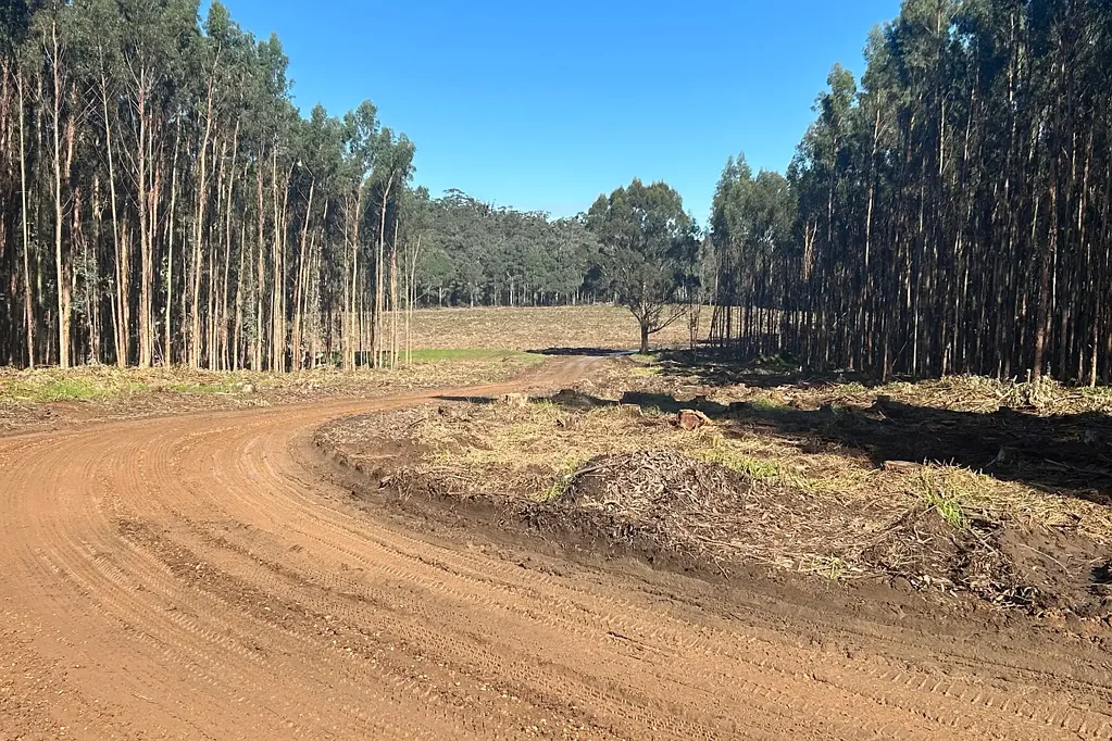 Northcliffe 124.78* Hectares of Untapped Potential (Approx. 308.33* Ac)