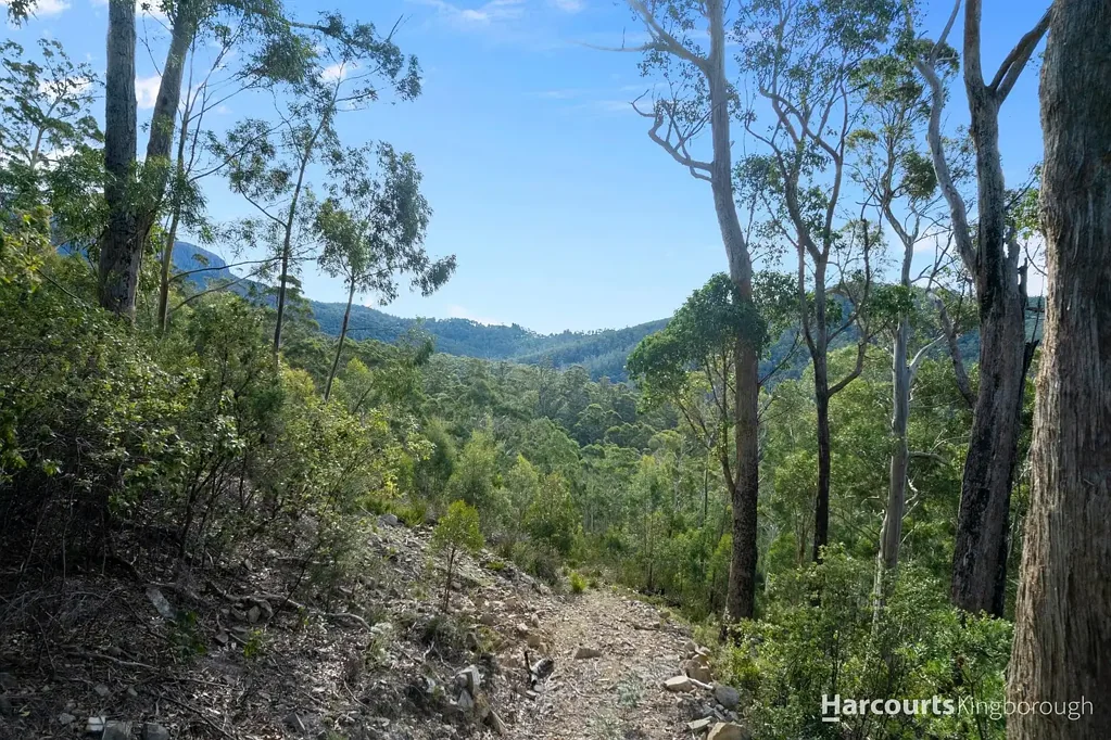 Kingston Blank Canvas for Your Bushland Vision