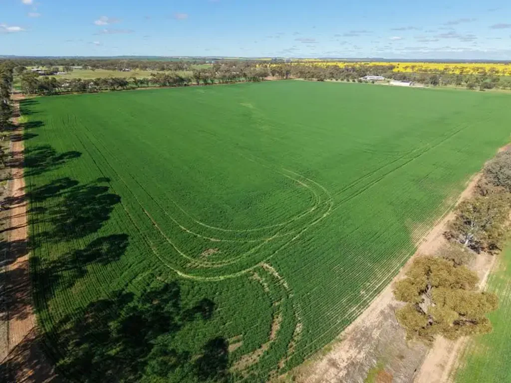 Moora  Space, Lifestyle & Future Potential Just Minutes from Town