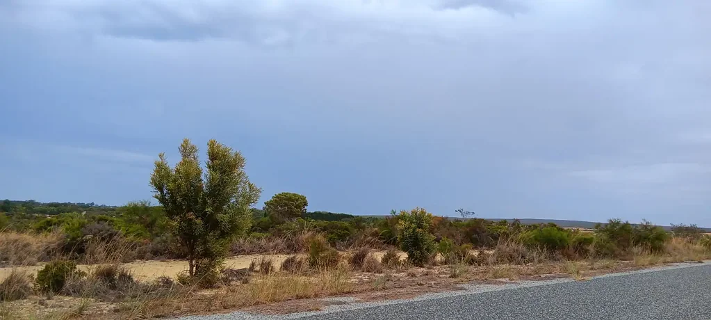 Lot 338 Casuarina Drive, Nilgen, WA 6044