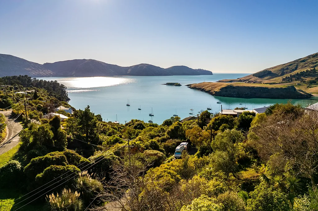 Diamond Harbour Clear Instructions: This Must Be Sold