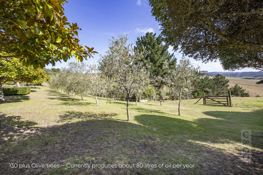 849 Old North Road, Waimauku, Auckland - Rodney, 4房, 0浴