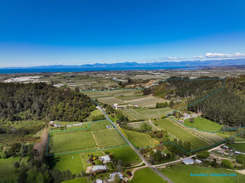 Motueka  Vaila Orchard Riwaka, Tasman