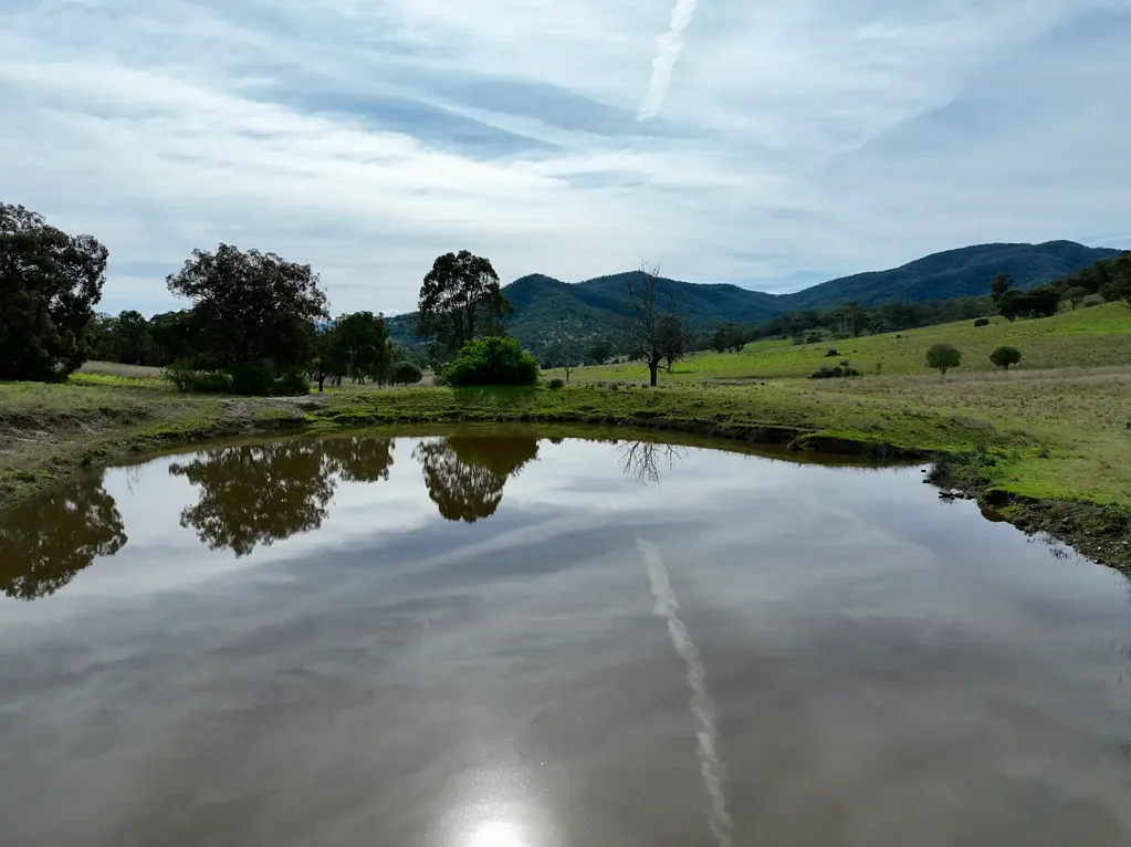 "Valley View" Sandy Creek Road, Muswellbrook, NSW 2333