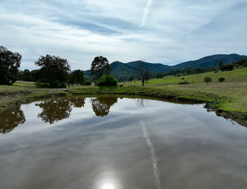 "Valley View" Sandy Creek Road, Muswellbrook, Hunter, 0房, 0浴, Lifestyle Property