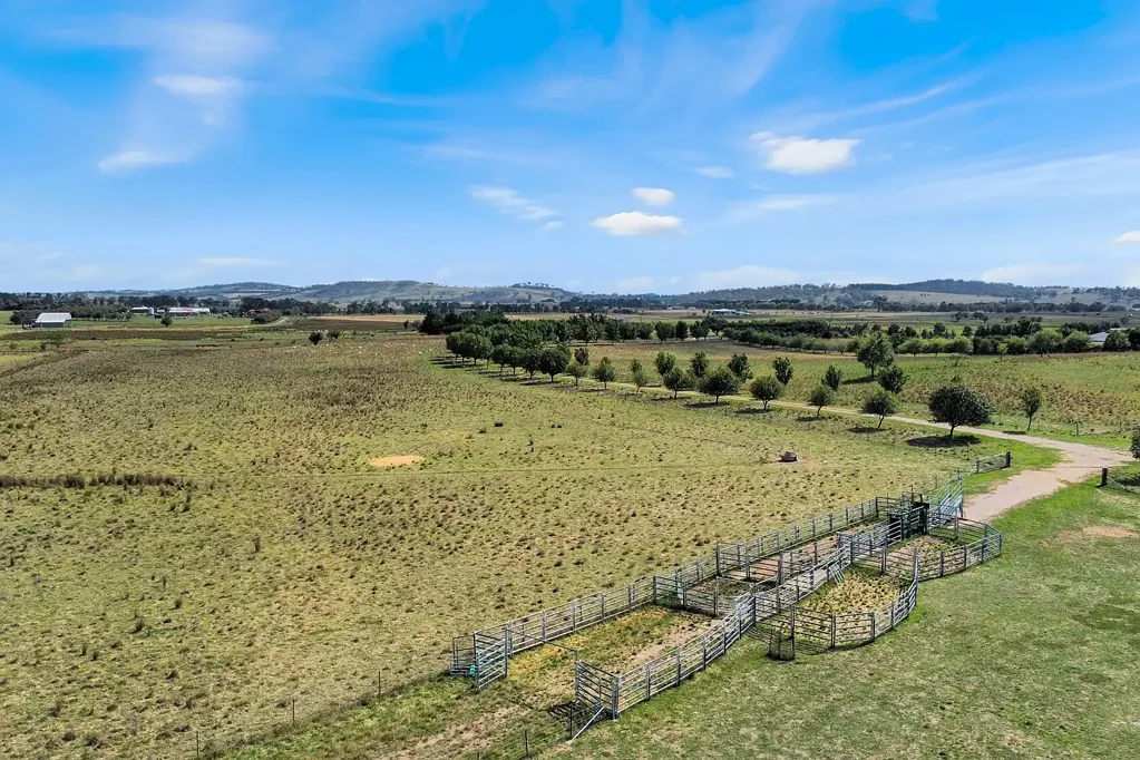 Spring Hill  Opportunity to build on 145 acres, Close to Orange!!