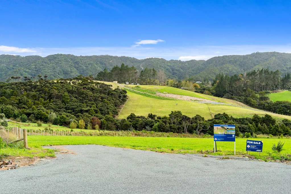 Mangawhai Barrier View Road Beauties