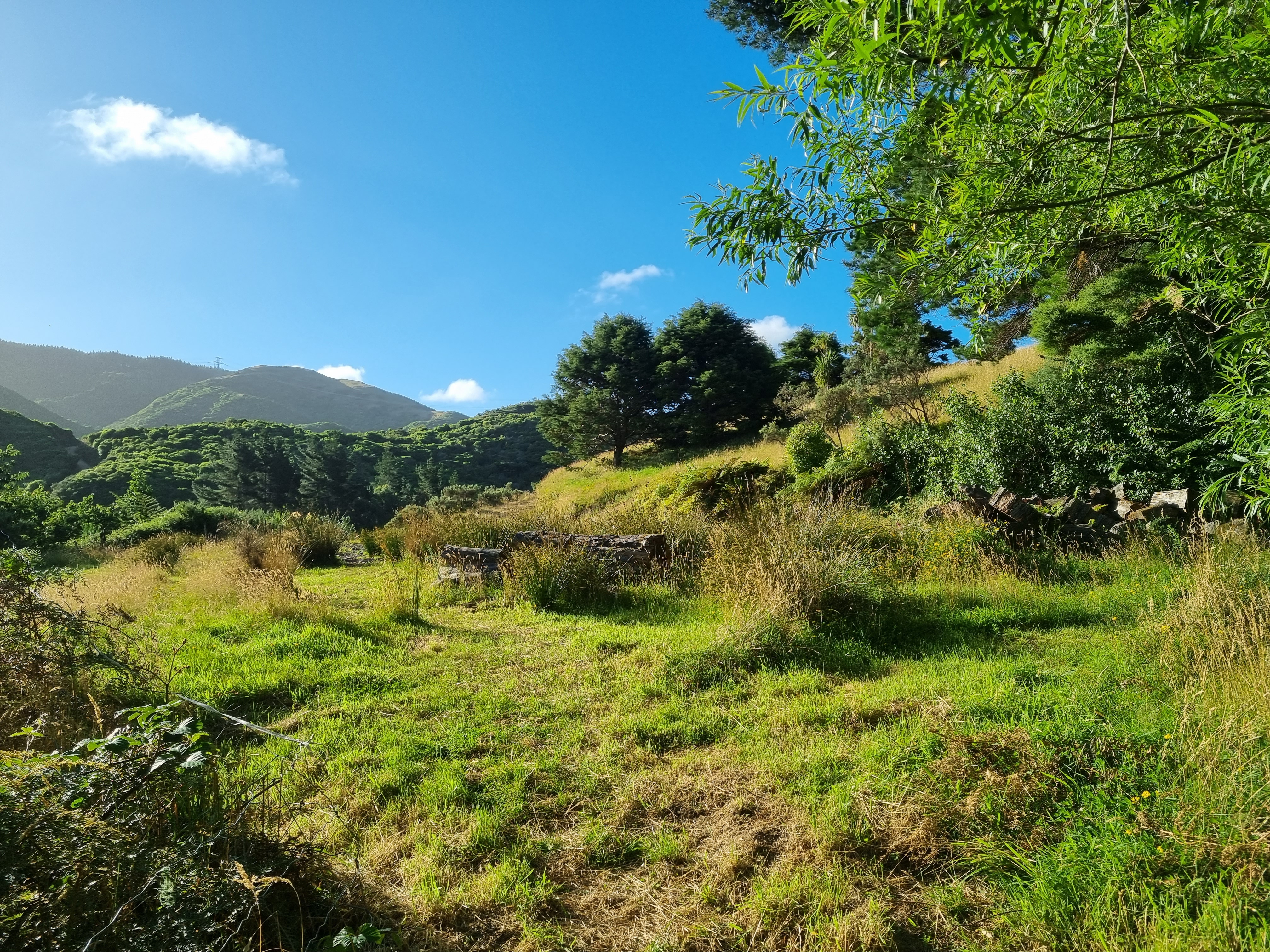 234 Stratton Street, Normandale, Lower Hutt, 0 Schlafzimmer, 0 Badezimmer, Lifestyle Section