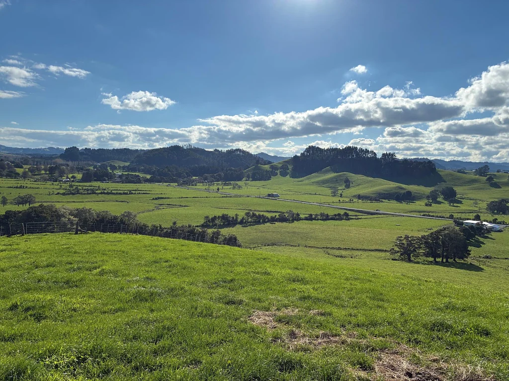 Whareora The Ultimate Blank Canvas