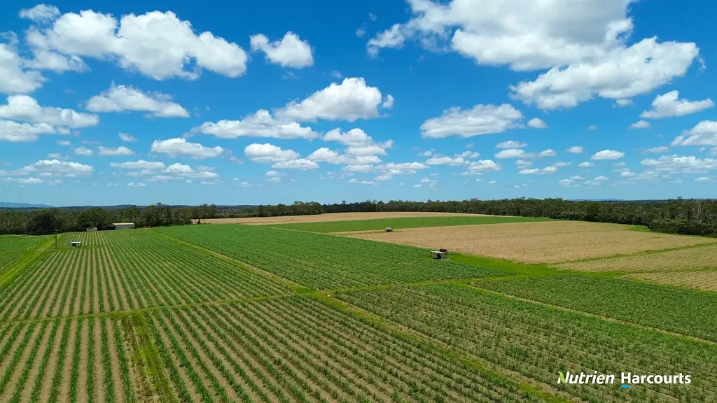 Gregory River  231 ACRES OF CULTIVATION WITH 3 WATER SOURCES