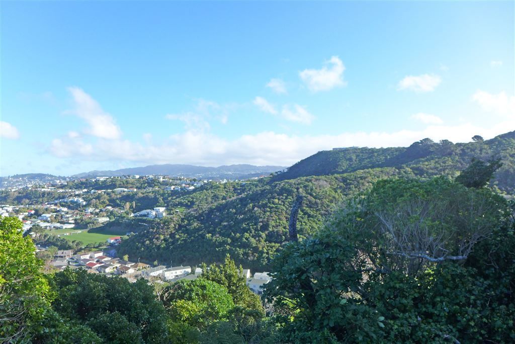 159 Nevay Road, Miramar, Wellington, 0房, 0浴