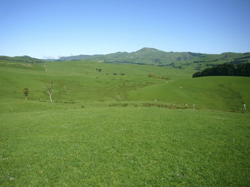 Weber Road, Dannevirke, Tararua, 0 Bedrooms, 1 Bathrooms