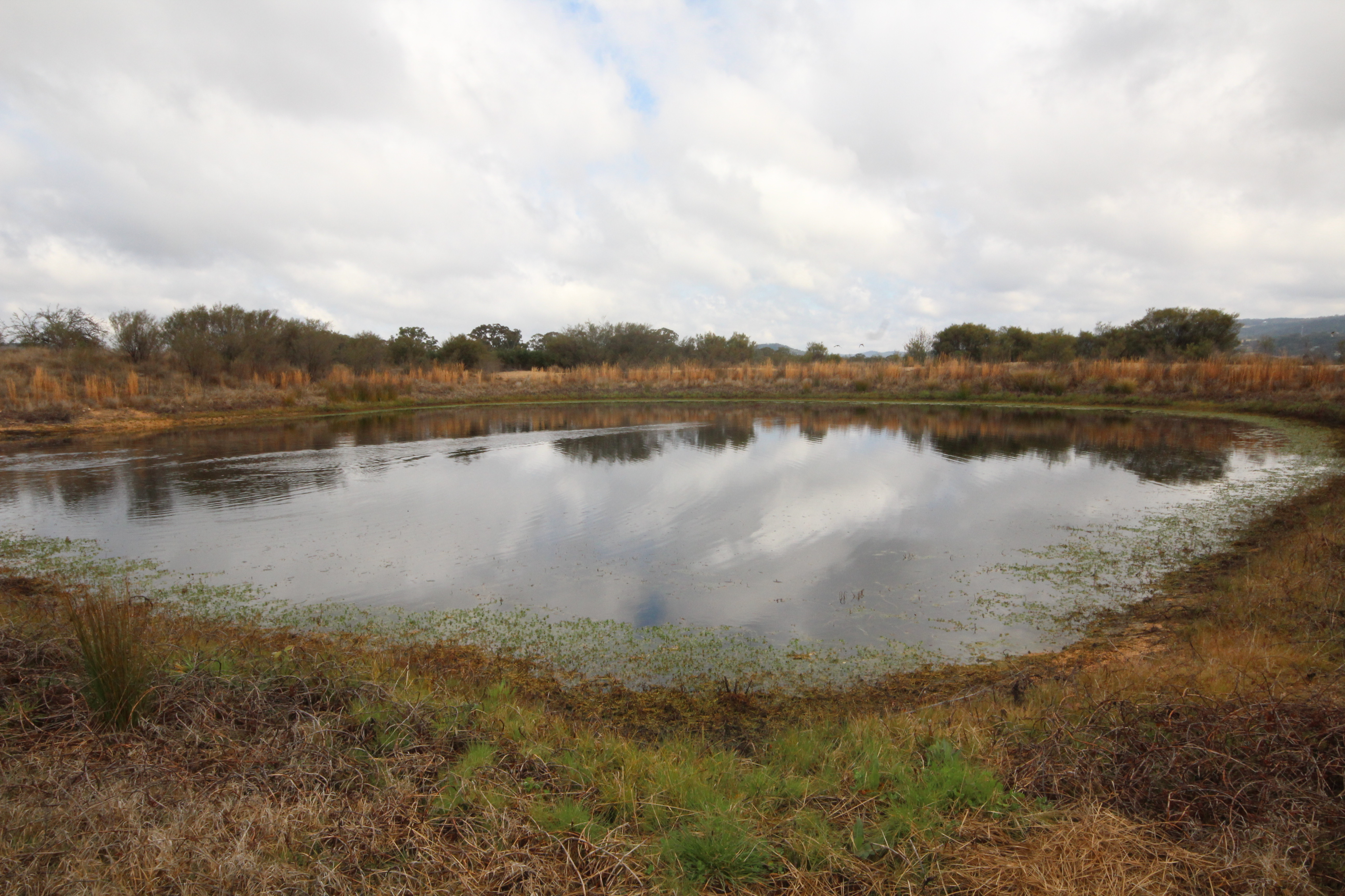 108 BACK CREEK RD, GLEN APLIN QLD 4381, 0房, 0浴, House