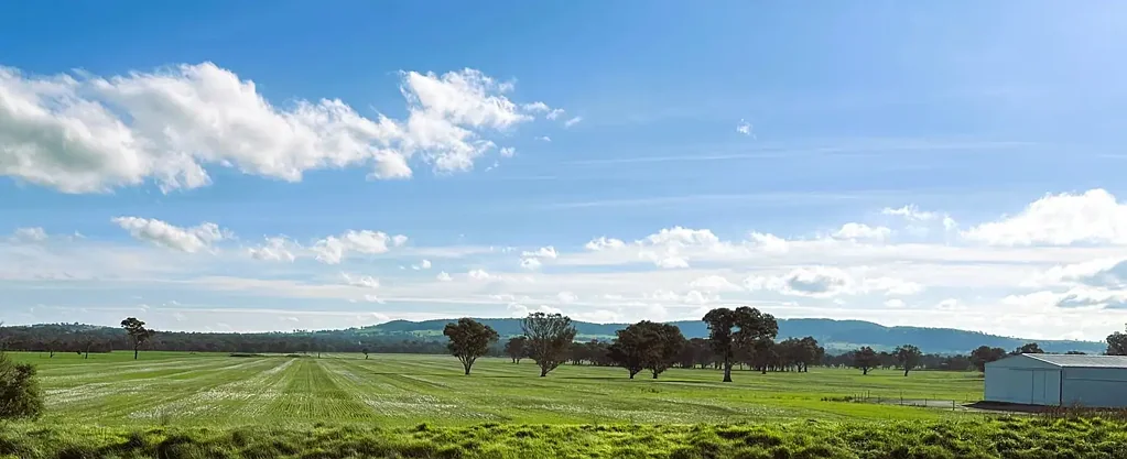 Gerogery 403 Acres - Highly Arable - Albury
