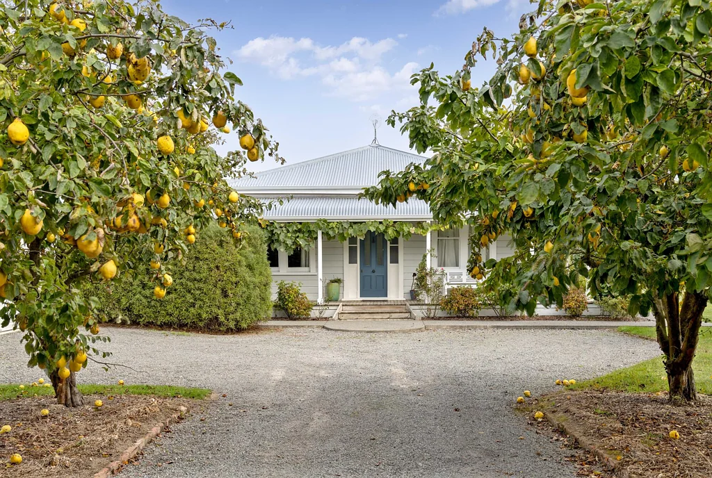 Martinborough 3房  Charming Country Retreat