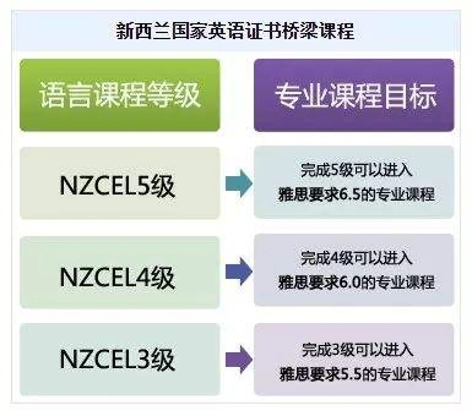 雅思分不够，怎么留学新西兰？