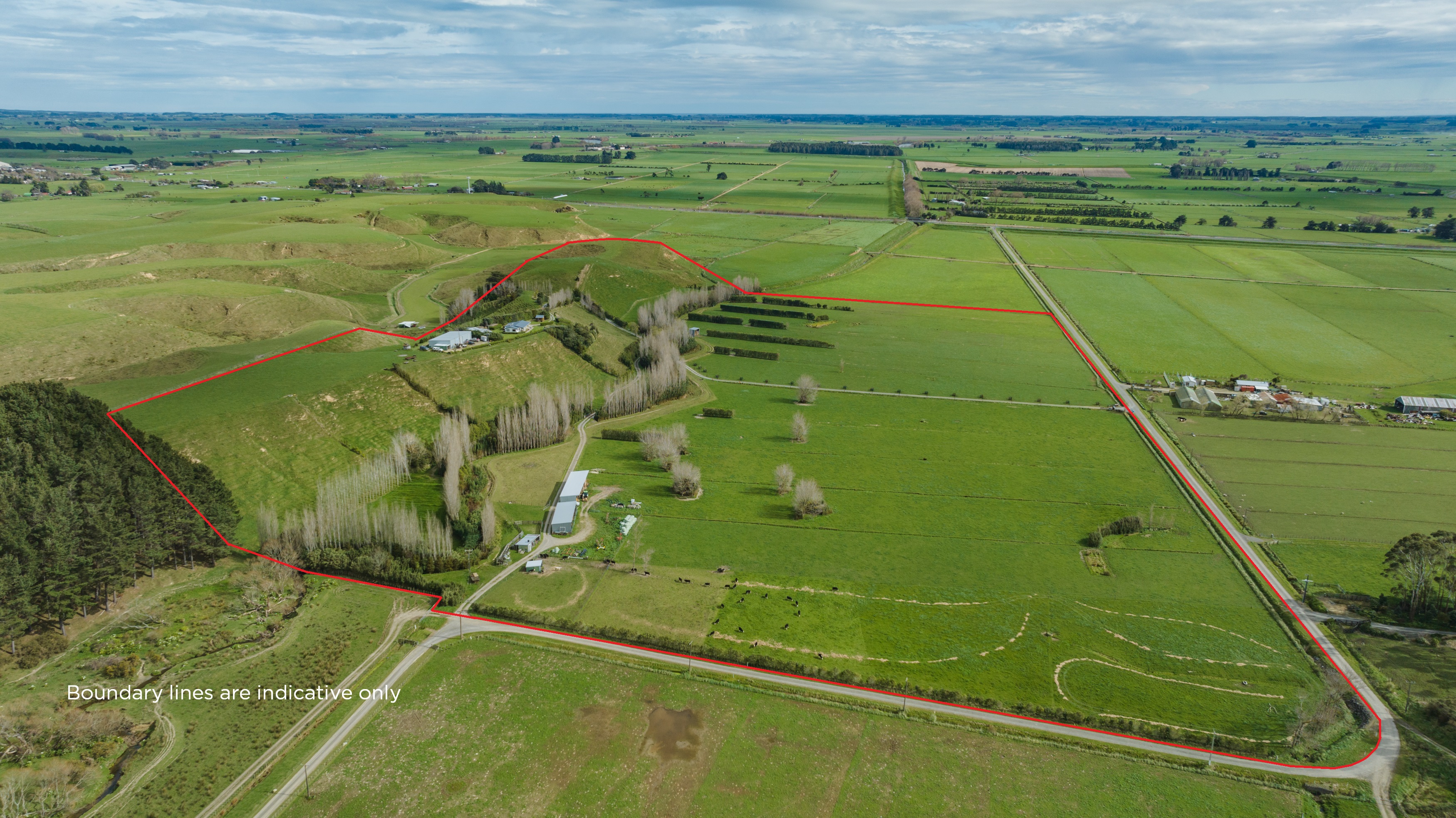 82 Kara Road, Shannon, Horowhenua, 3 ห้องนอน, 0 ห้องน้ำ, Grazing