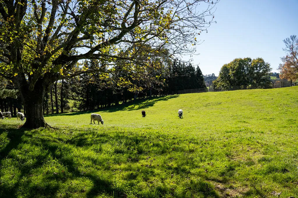 Cambridge  Prime 9 Hectare Opportunity!