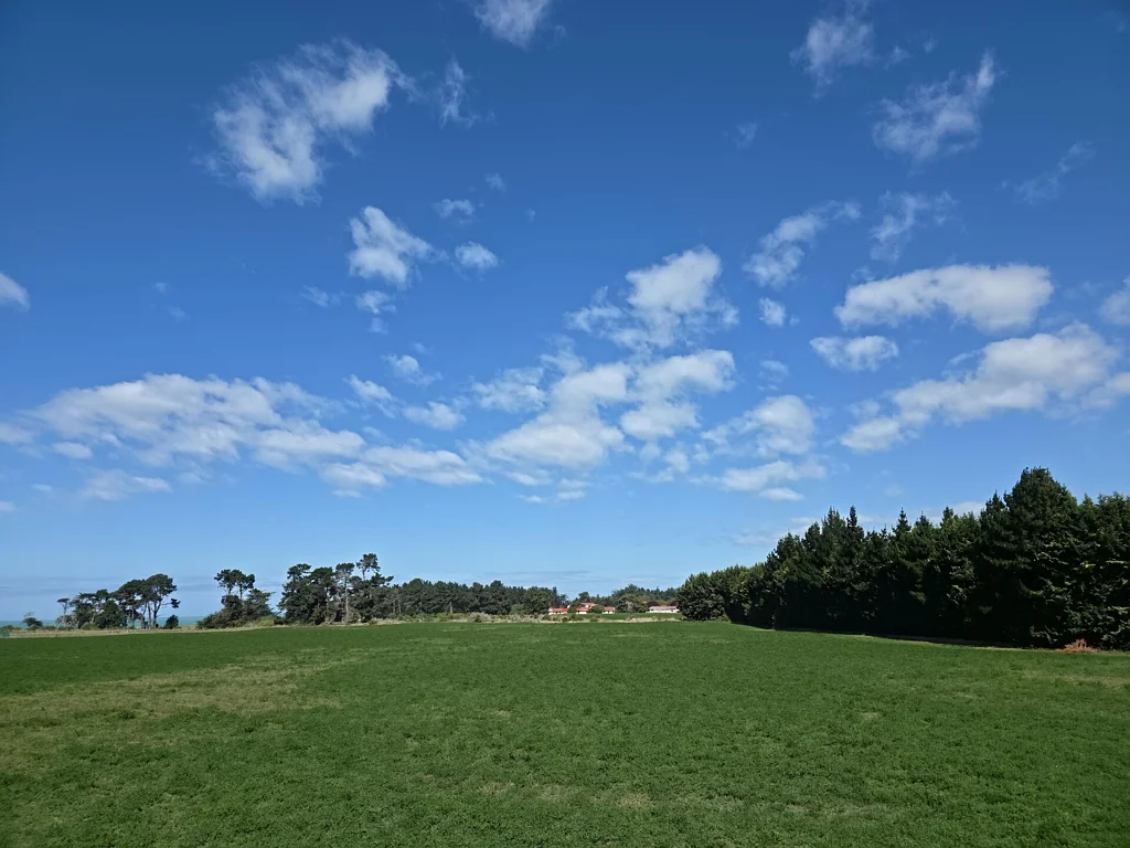 Oamaru 3બેડરૂમ Strategic industrial land plus home on 10.5294 ha