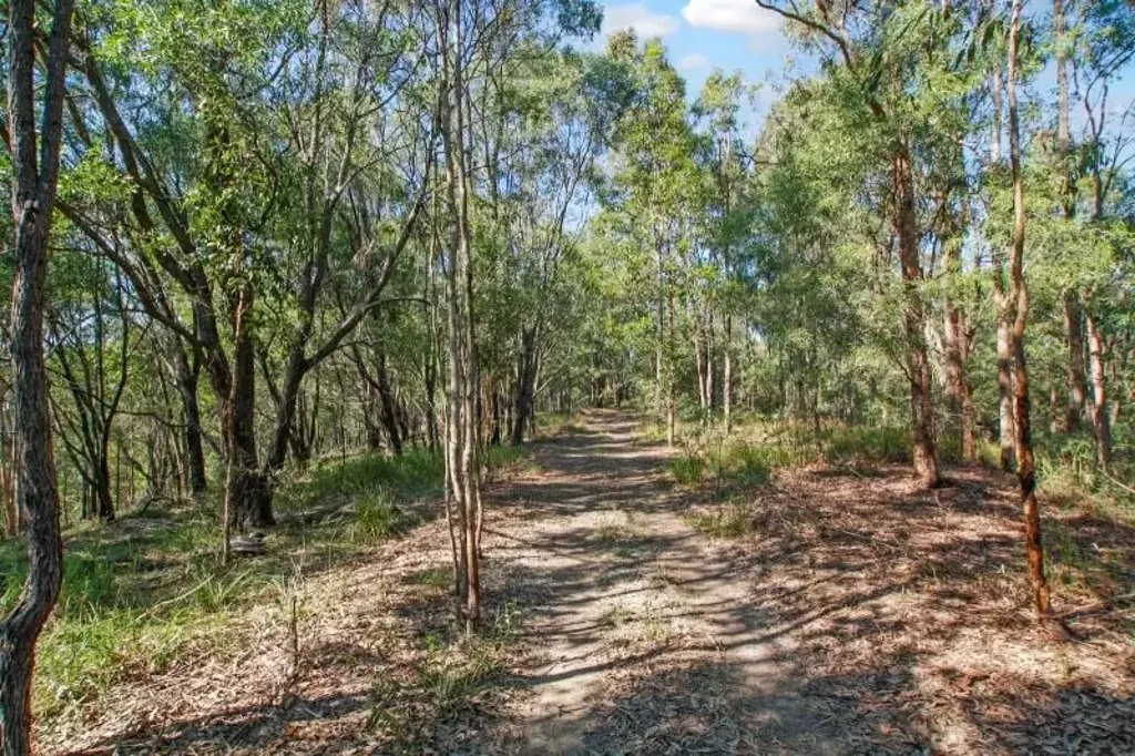 Maudsland BUILD YOUR DREAM HOME IN SERENITY — 65 ACRES, 5 MINUTES FROM CIVILISATION