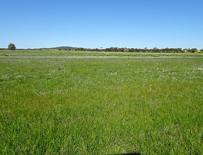 LOT 5980 Brookton Kweda Road, Aldersyde, Wheat Belt, 0 chambres, 0 salles de bain, Lifestyle Property
