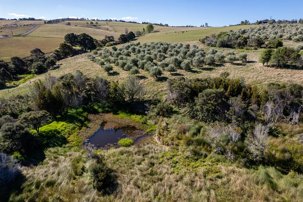 Ruakaka Self-sufficiency and sustainability