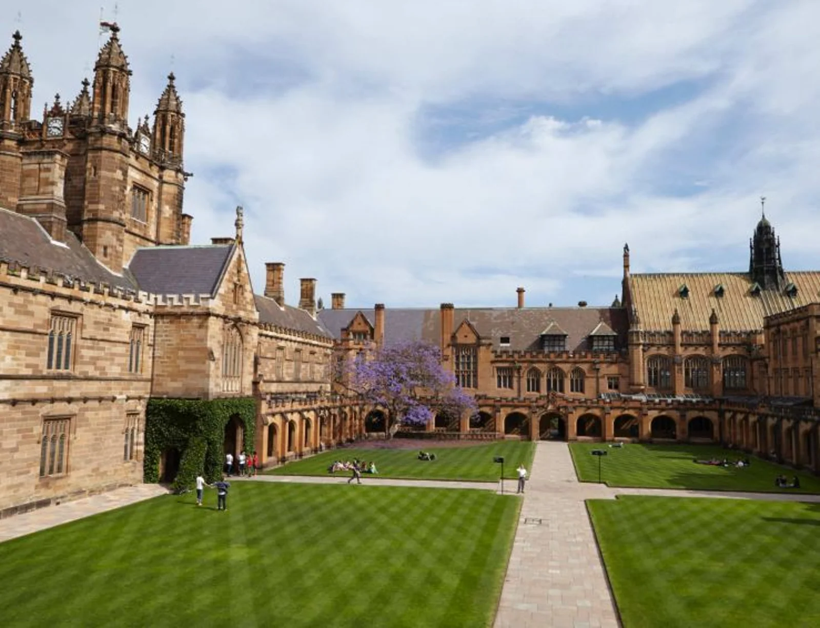 来悉尼上大学吗?甜到掉蜜的那种!!