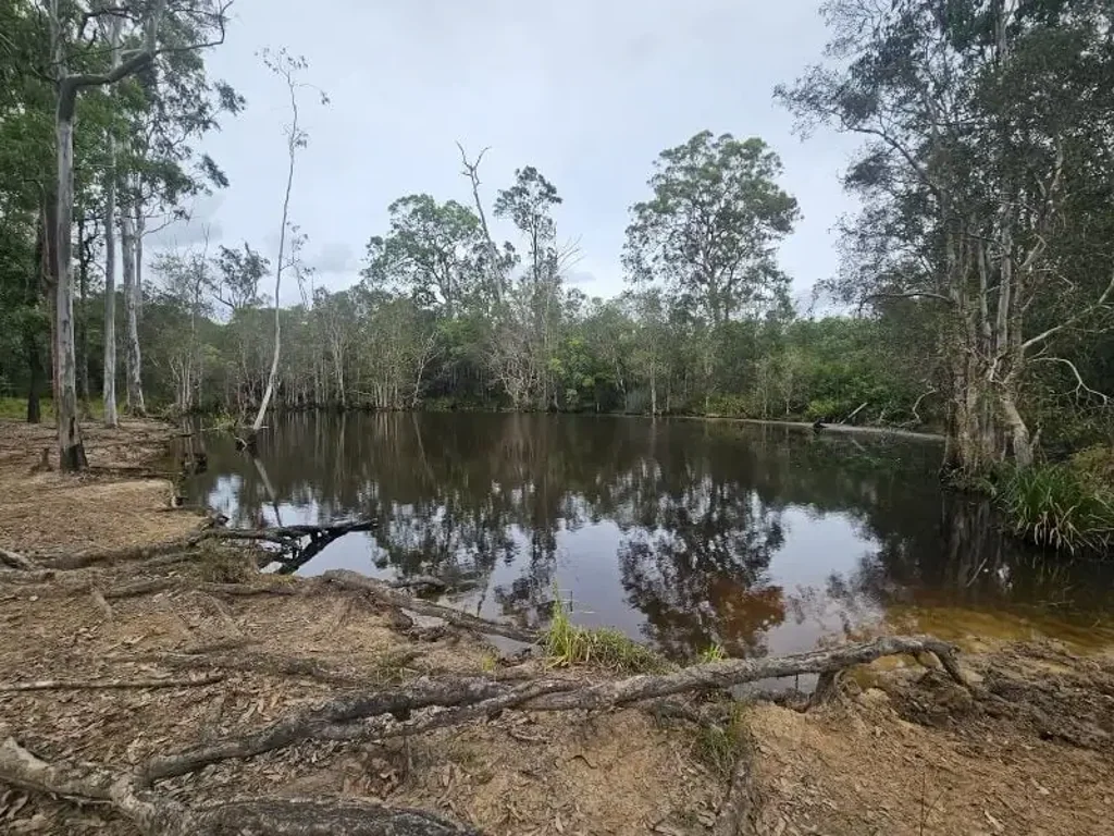 Bauple Forest 319 Acres of Versatile Farming Land