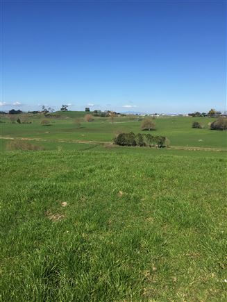 Onion Road, Horotiu, Waikato, 0 침실, 0 욕실