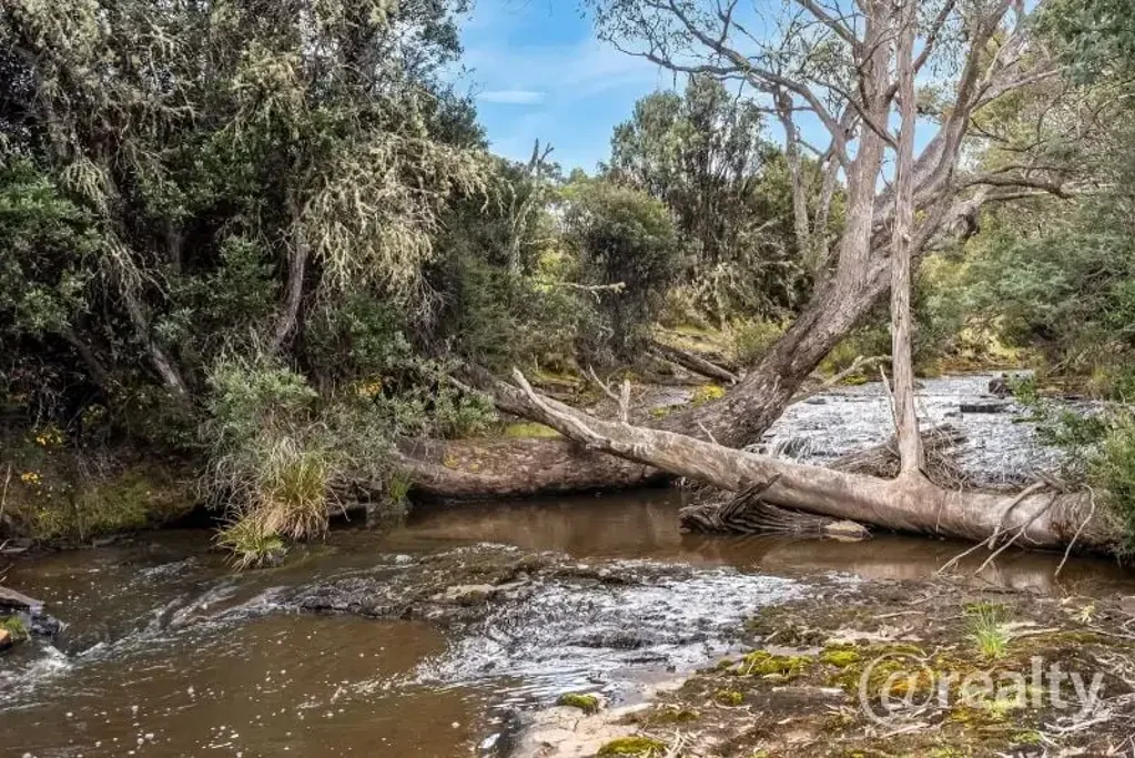 Victoria Valley  Water, Sun, Nature & A Huge New Shed!