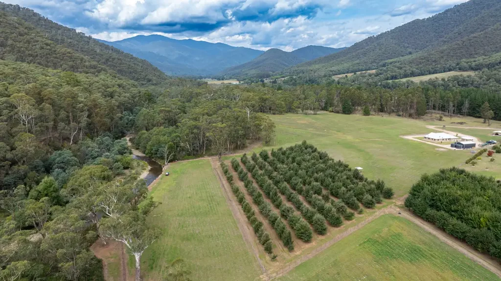 Smoko LUXURY LIVING WITH OVENS RIVER FRONTAGE