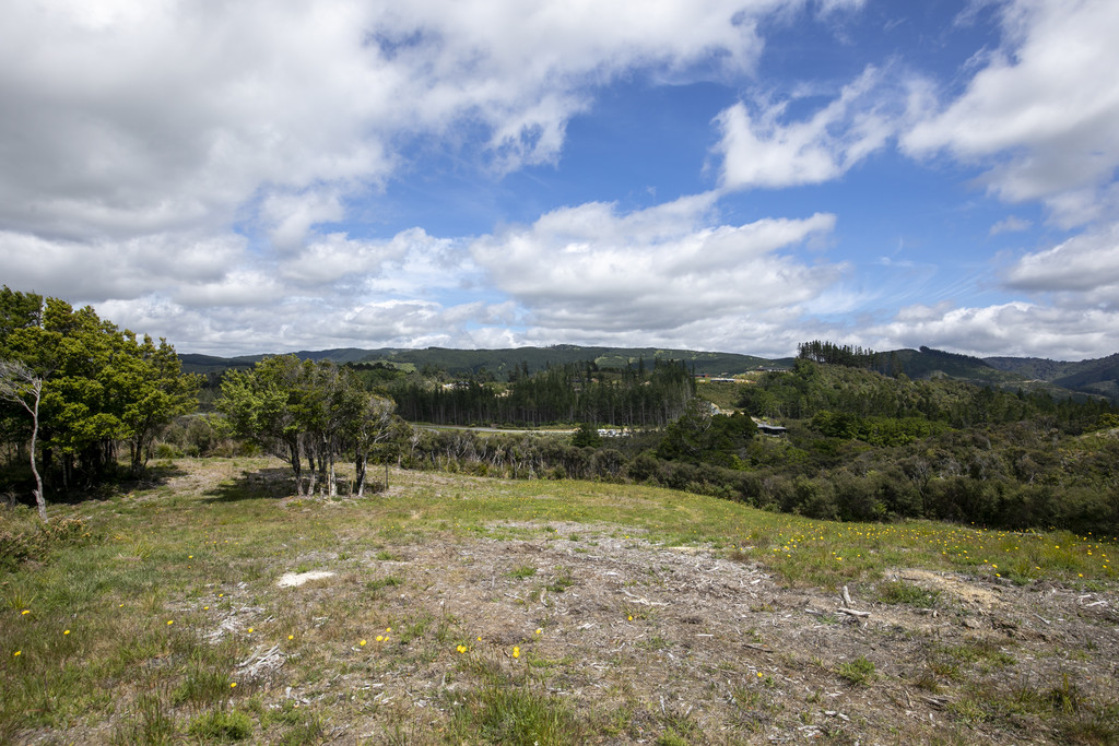 235a Fairview Drive, Birchville, Upper Hutt, 3 habitaciones, 0 baños