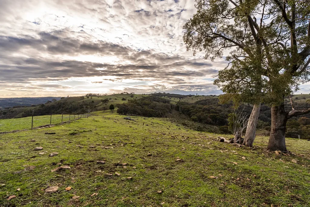 Euchareena A Private Bushland Escape with Far-Reaching Views