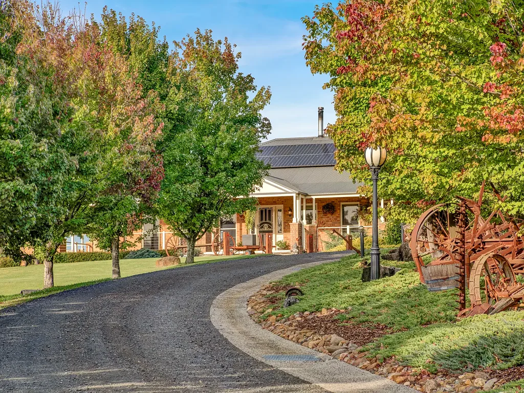 Wandong "775 O'Gradys Road" - Let Me Entertain You!