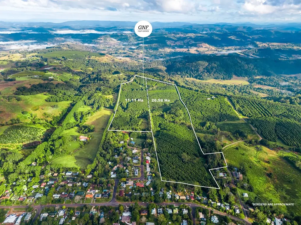 181 Munro Road, Dunoon, NSW 2480