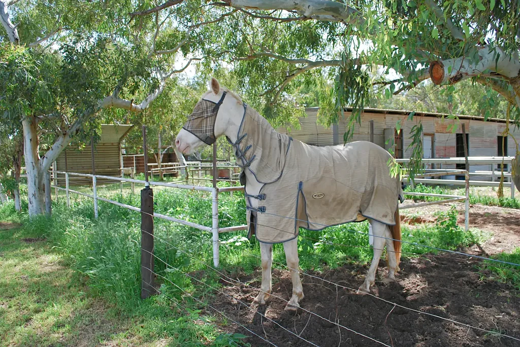 10 Wellington Road, Woorree, WA 6530