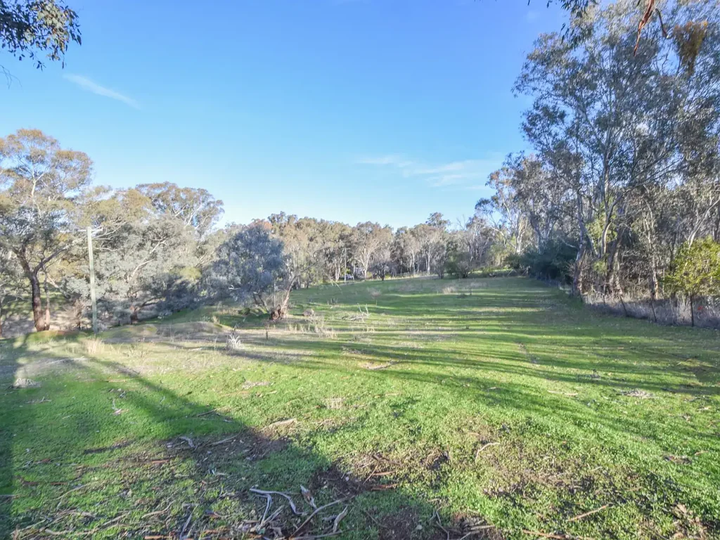 Young 5,252ms* Allotment Only Minutes To Town