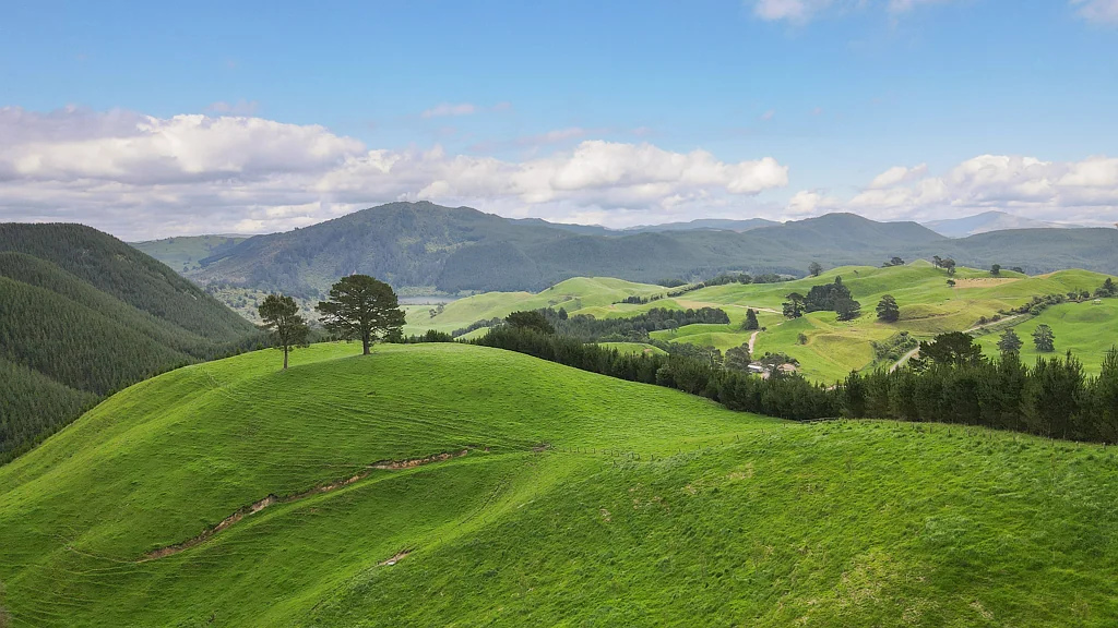 Waikite Valley  Forestry, Farming and Lifestyle