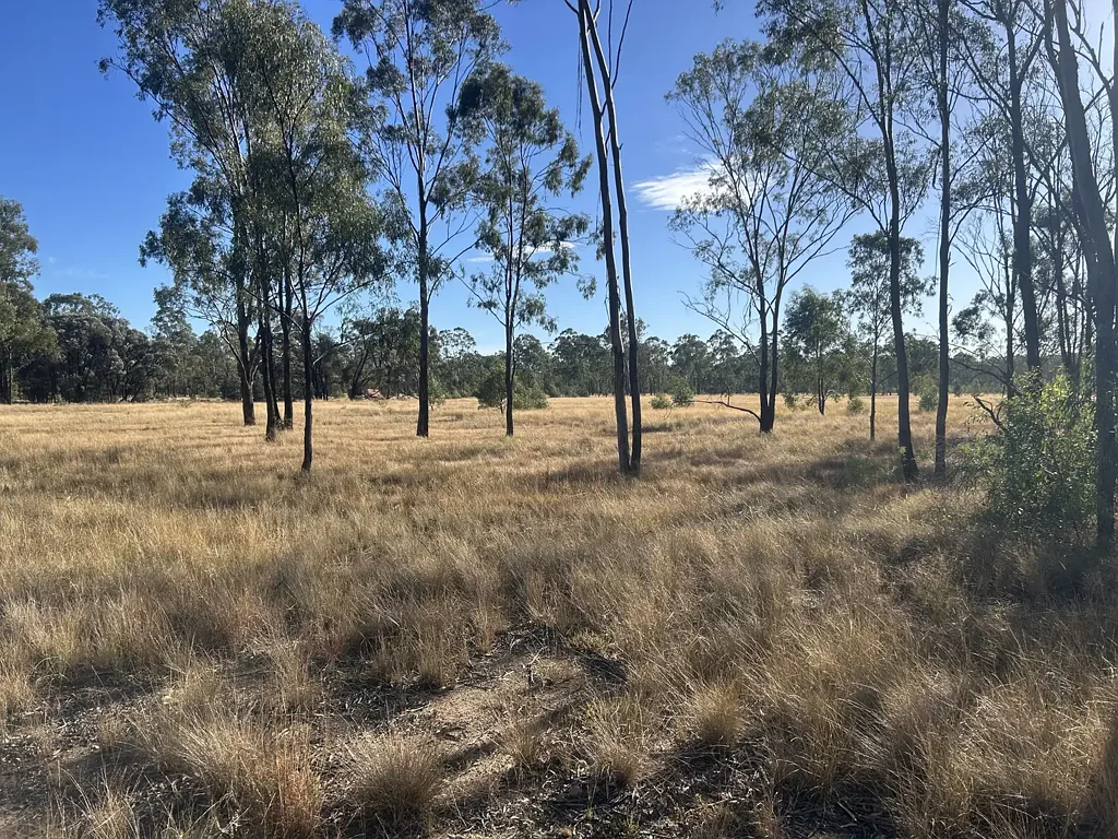Tara Vacant Land