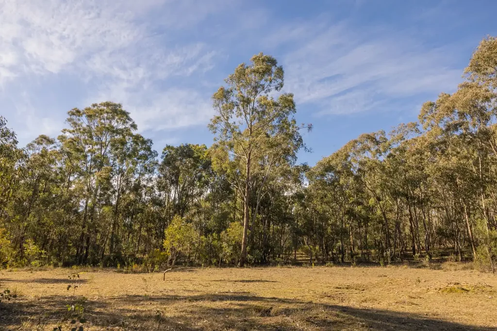 Mudgee Unlock the Possibilities - Flourishing Bush Retreat with Boundless Opportunity